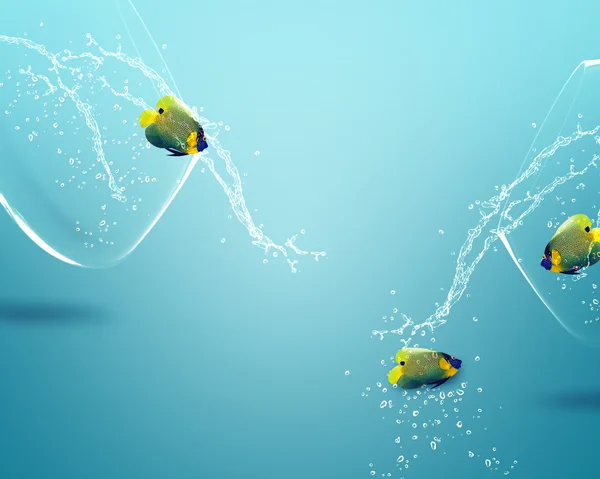 Angelfish hoppar av fishbowl — Stockfoto