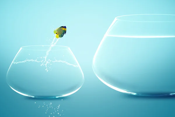 Anglefish jumping into bigger fishbowl — Stock Photo, Image