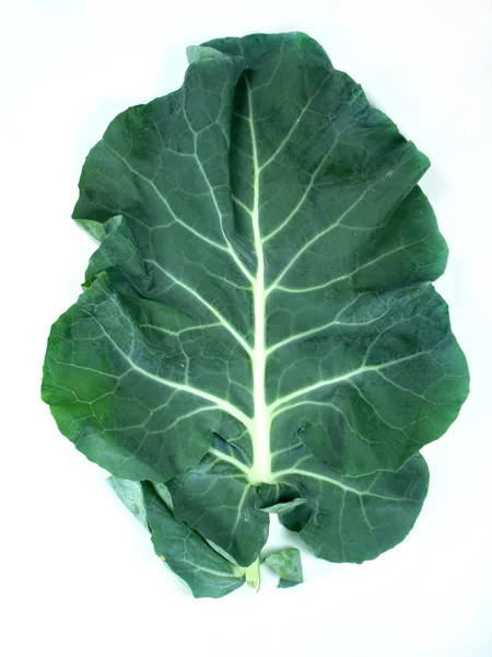 Liść brokuły — Zdjęcie stockowe