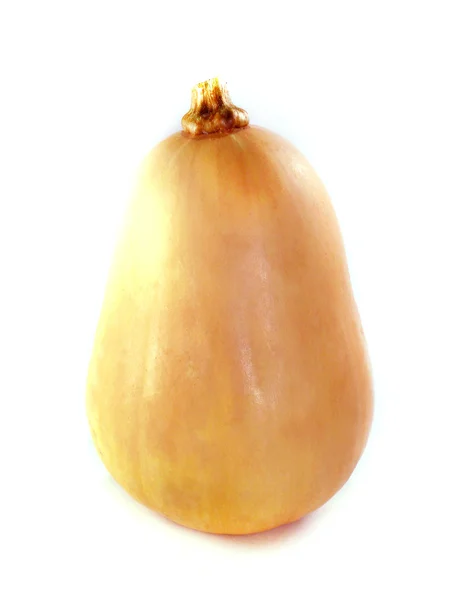 Zucca di burro — Foto Stock