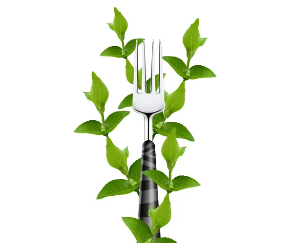 Green leaves around fork — Stock Photo, Image