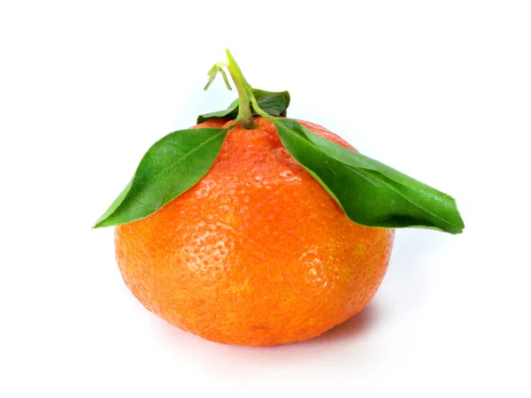 Mandarina fresca —  Fotos de Stock