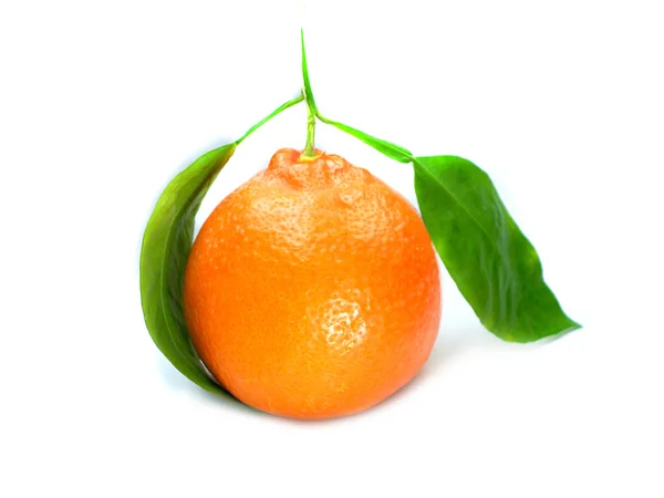 Fresh Orange — Stock Photo, Image