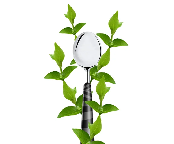 Foglie verdi intorno Spoon — Foto Stock