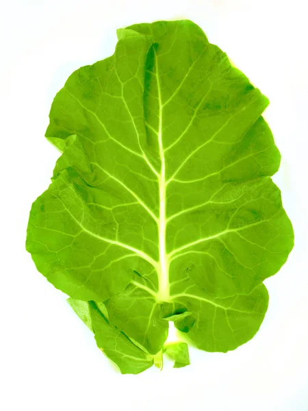 Foglia di un broccolo — Foto Stock