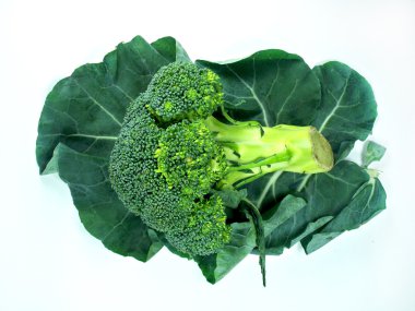 Leaf of a broccoli clipart