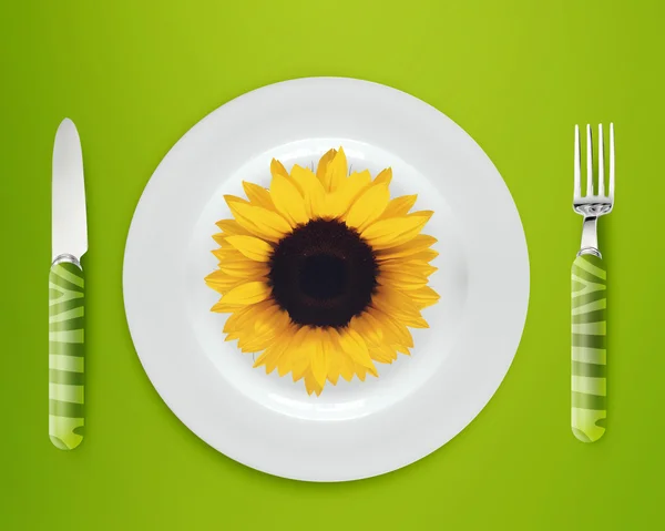 Sunflower on plate — Stock Photo, Image