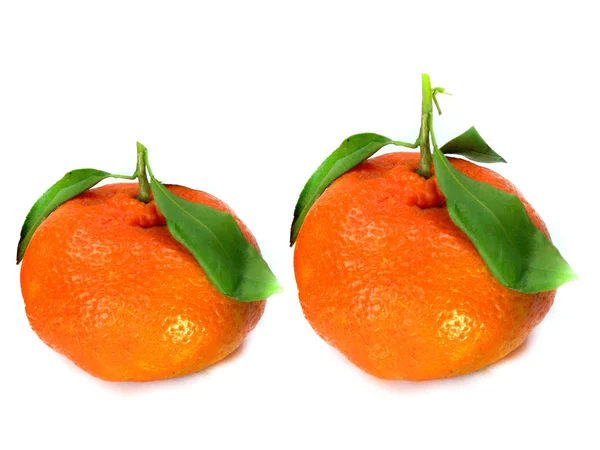 Verse tangerine — Stockfoto