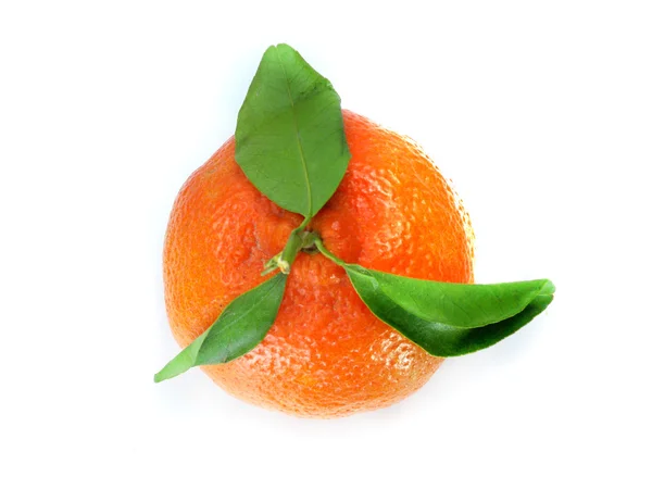 Verse tangerine — Stockfoto