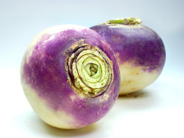 Purple headed turnips on white background clipart