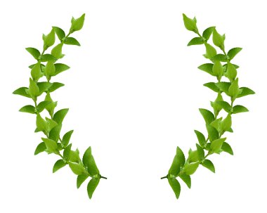 Wreath from Green leaves clipart