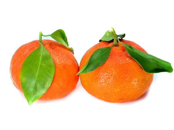 Mandarina fresca — Foto de Stock