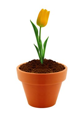 Flower in clay pot clipart
