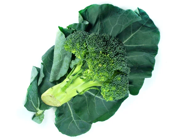 Broccoli en blad — Stockfoto