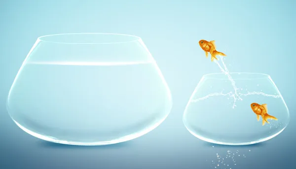 Золотая рыбка прыгает в аквариум — стоковое фото