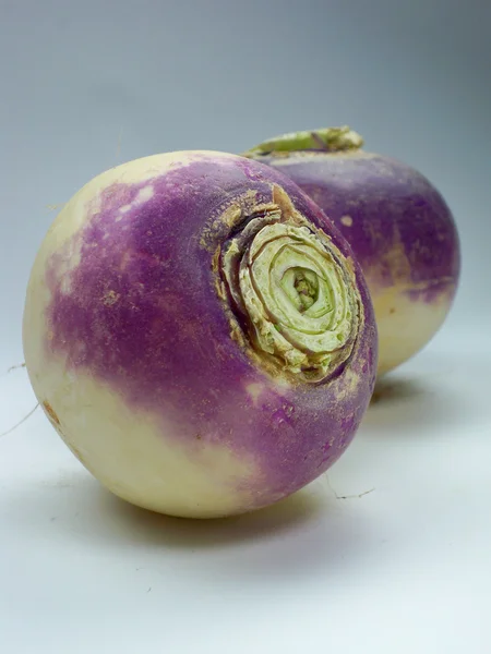 สีม่วงหัวผักกาด — ภาพถ่ายสต็อก