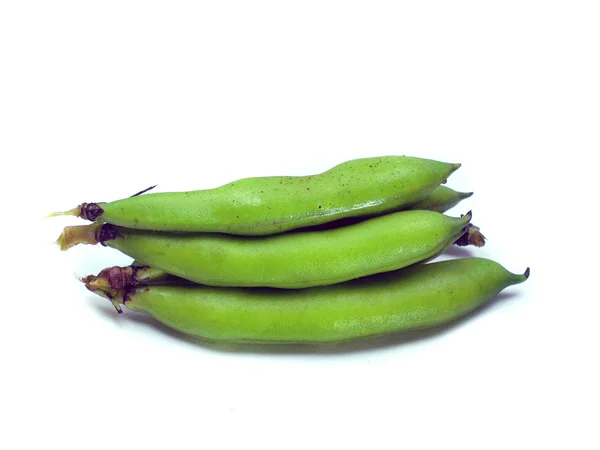 Bunch of broad beans — Stock Photo, Image