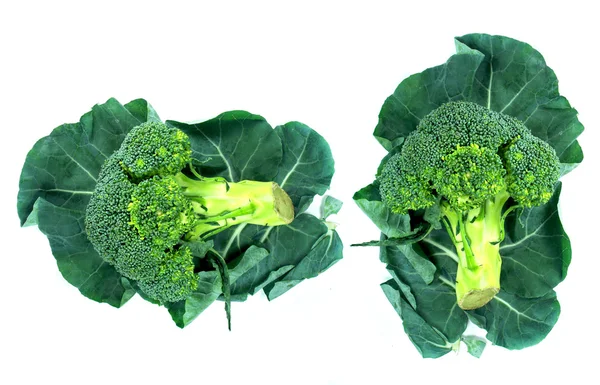 Broccoli en blad — Stockfoto