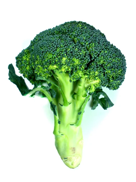 Takken van kool van een broccoli — Stockfoto