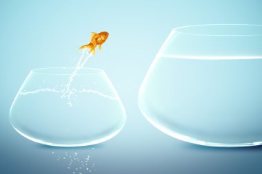 Goldfish in small fishbowl watching goldfish jump into large fis clipart