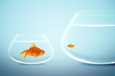 Big and small goldfish clipart
