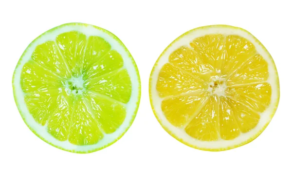 Fresh slice of Lemon — Stock Photo, Image