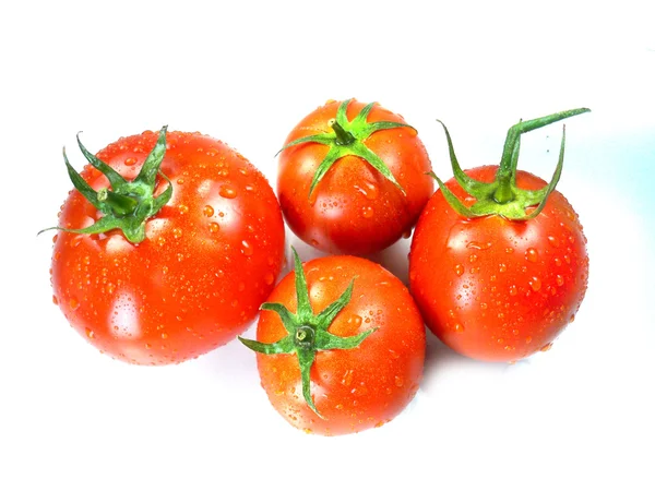 Frische rote Tomaten — Stockfoto
