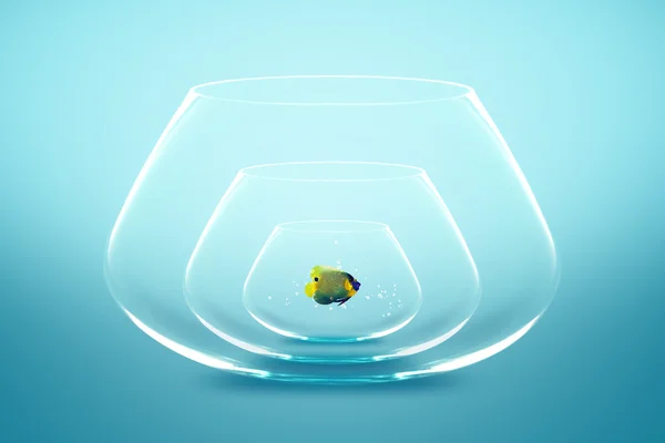 Fish bowl — Stock Photo, Image