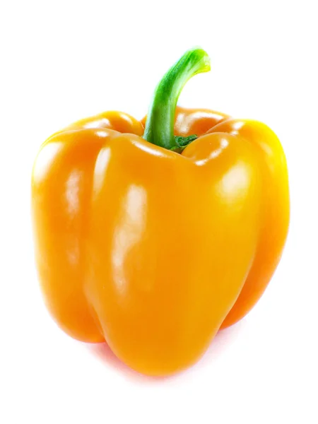 Orange Paprika — Stockfoto