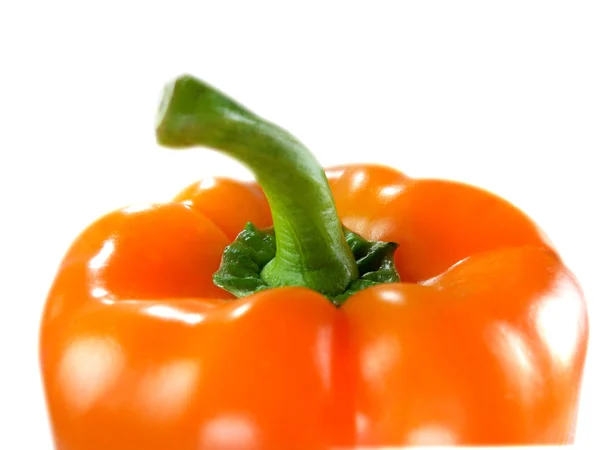 Oranžová paprika — Stock fotografie