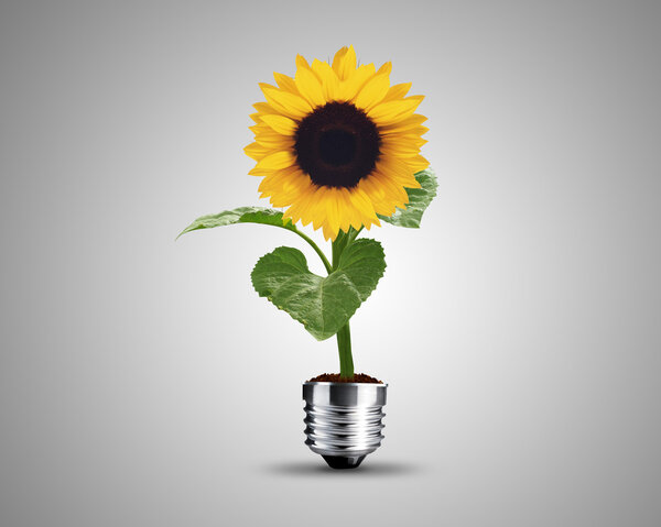 Концепция лампочки
