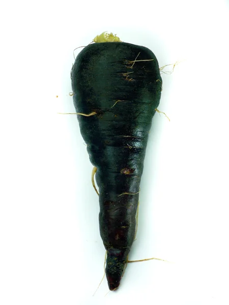 Fresh black carrots — Stock Photo, Image