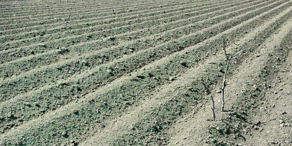 Sürülmüş zemin — Stok fotoğraf