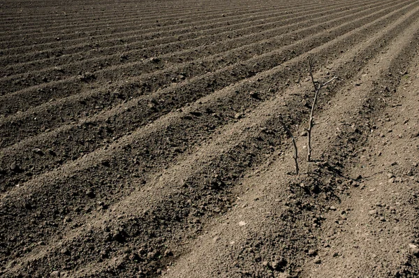 stock image Plowed ground