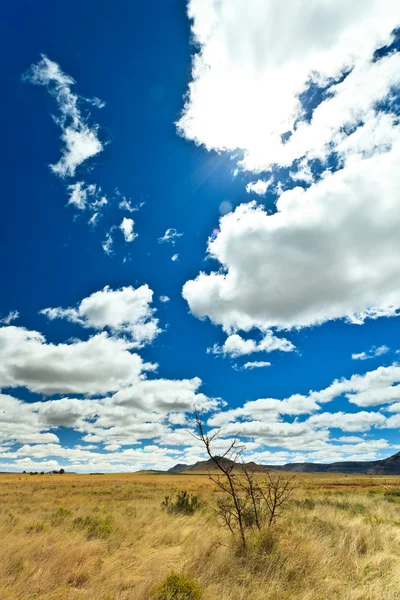 Desolate landscape with beautiful cloudscape — Stock Photo, Image