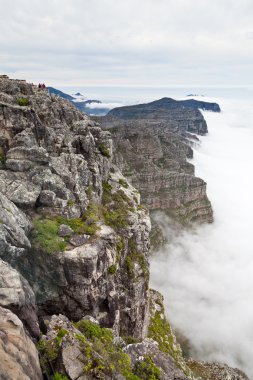 Tablo dağ cape town göster