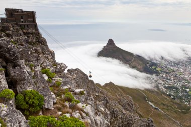 Masa Dağı'nda cape town dan göster