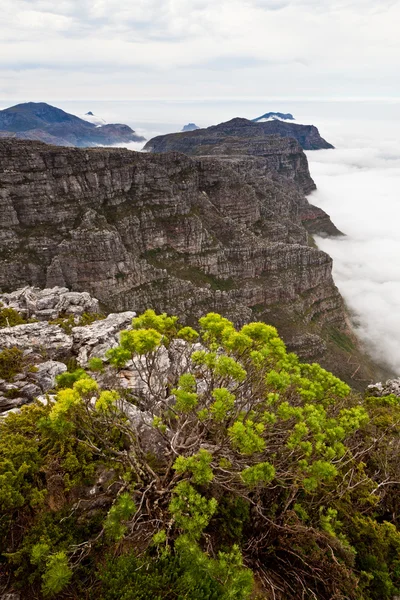 Vista desde la montaña de mesa Ciudad del Cabo —  Fotos de Stock