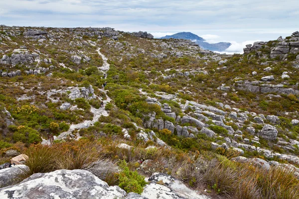Walking trail on top of table mountain — Stock Photo, Image