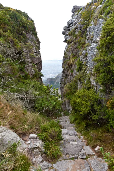Walking path between the rocks