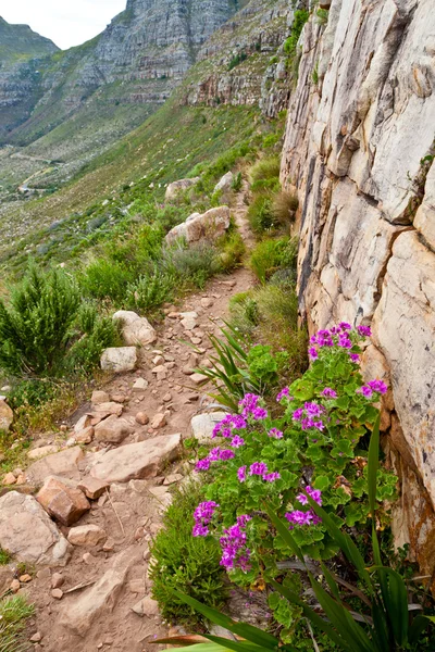 Pěší stezka podél srázným horským úbočím — Stock fotografie