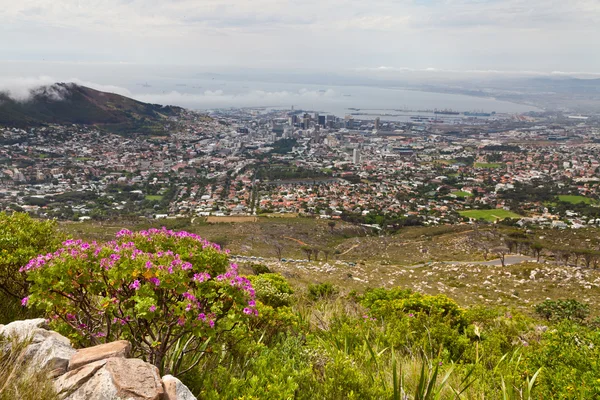 Shlížel na Kapské město — Stock fotografie