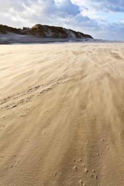 kum plaj üzerinde üfleme