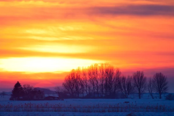 Solnedgång i ett vitt vinterlandskap — Stock fotografie