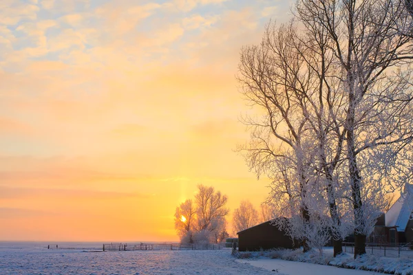 Granja en un paisaje de invierno blanco — Foto de Stock
