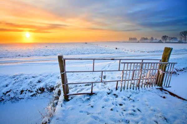 Пастбища и забор зимой — стоковое фото