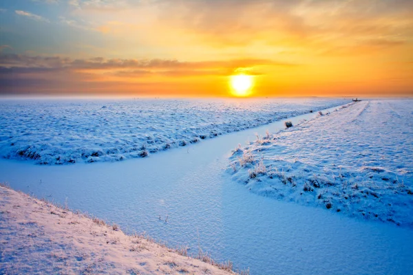 Gün batımında kışın otlak — Stok fotoğraf
