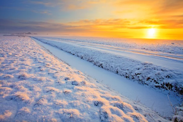 Użytki zielone zimą na zachodzie słońca — Zdjęcie stockowe