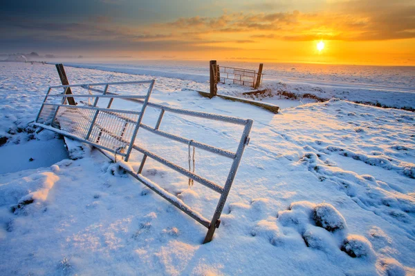 Vall och staket i vinter — Stockfoto
