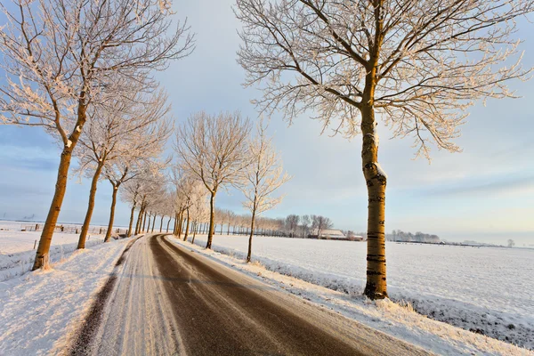 Δρόμο, σε ένα λευκό χειμωνιάτικο σκηνικό — Φωτογραφία Αρχείου